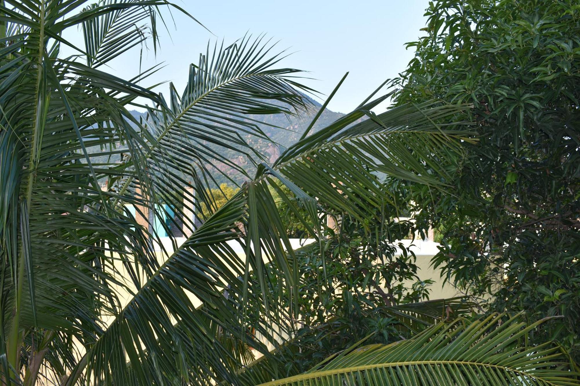 Rainbow Guest House Tiruvannāmalai Εξωτερικό φωτογραφία